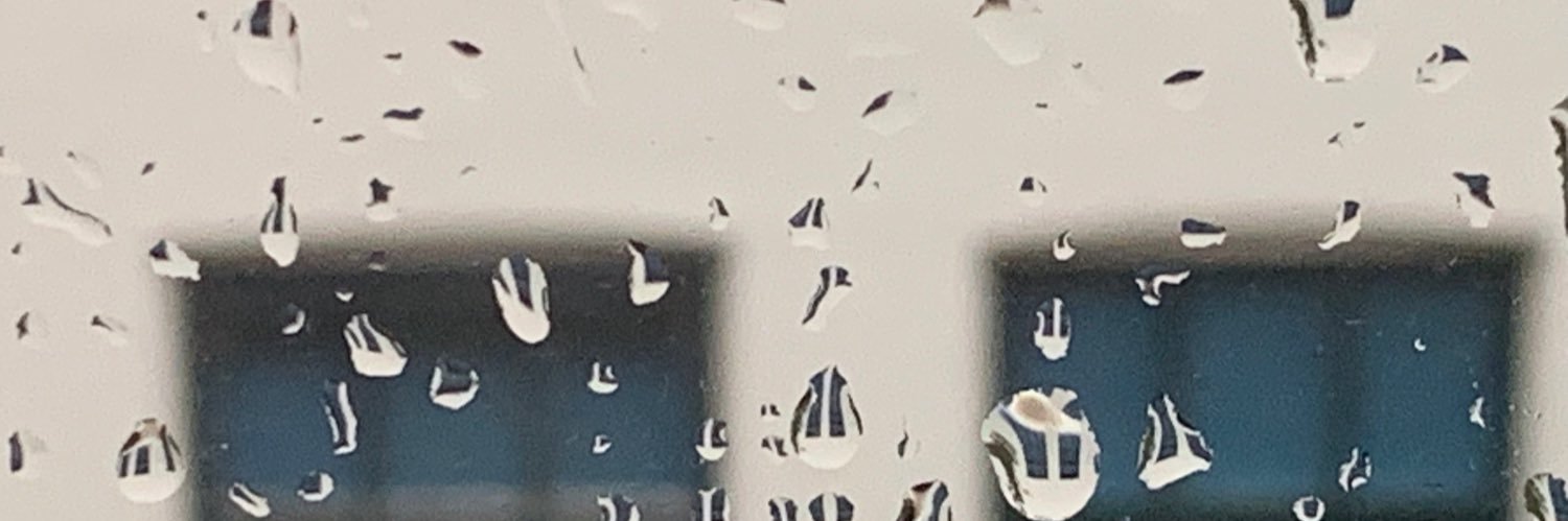 Ineke Stoop banner