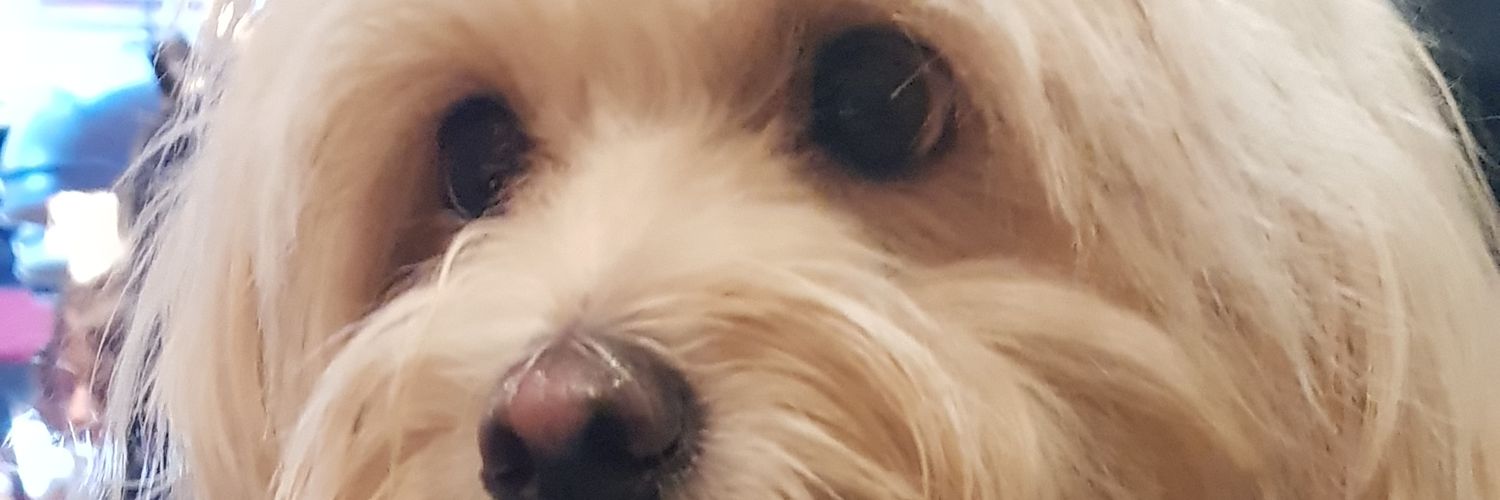 BURÇE GURPINAR banner