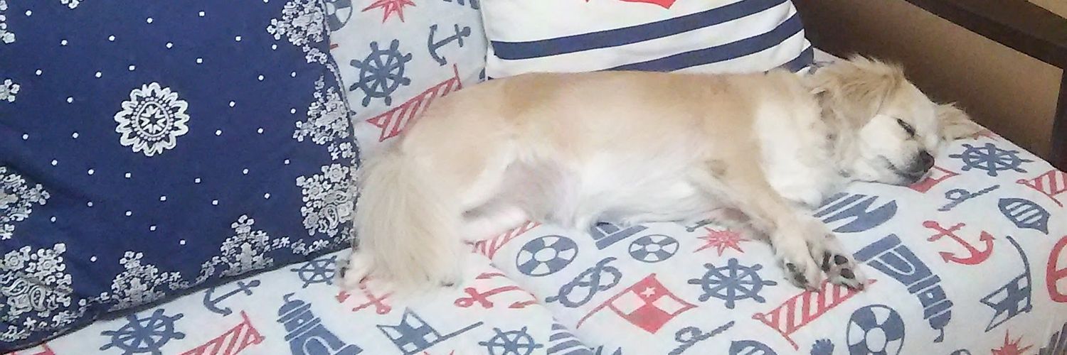 mairo622's profile banner image