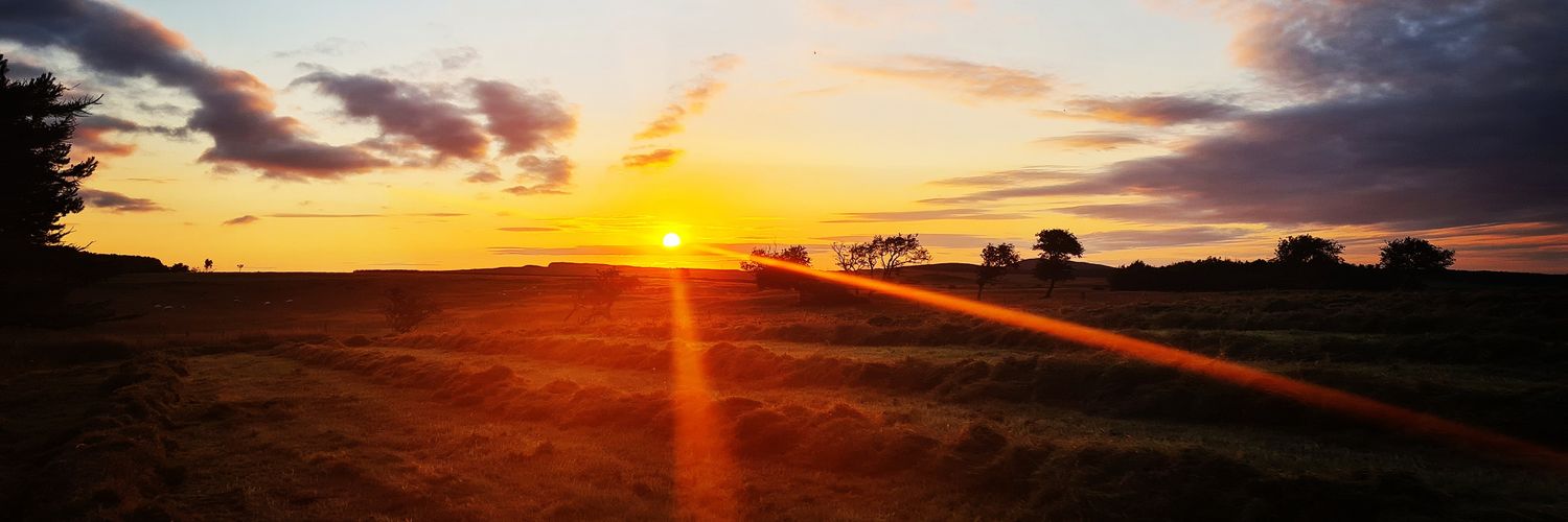 Christie Love banner