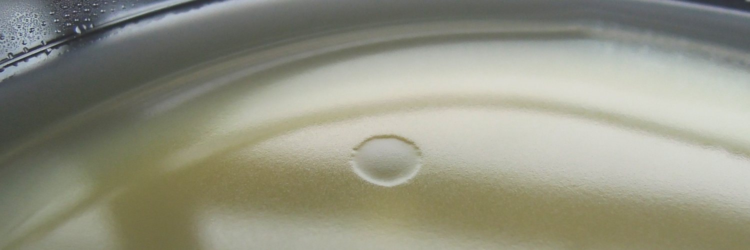 Bacteriófagos e Interacciones Microbianas banner