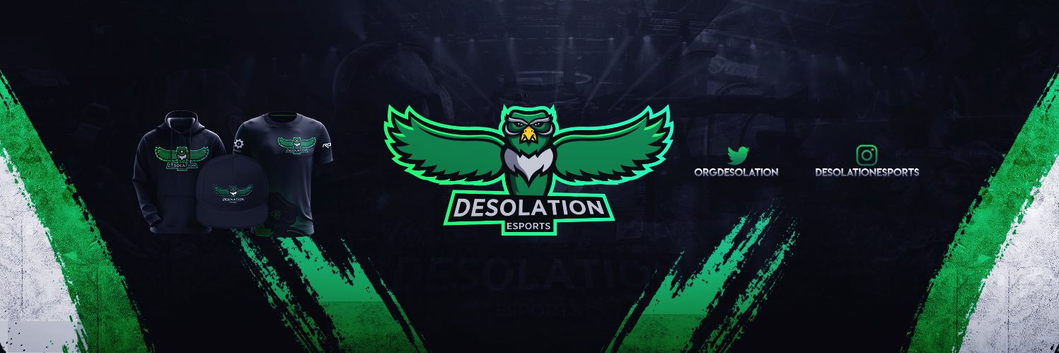 Desolation Esports®[DSL] banner