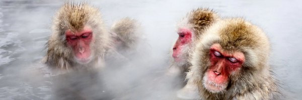 PlutotitoQC Profile Banner