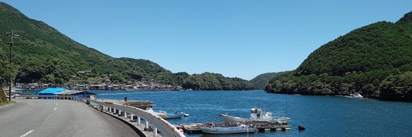 info_nekomataya Profile Banner