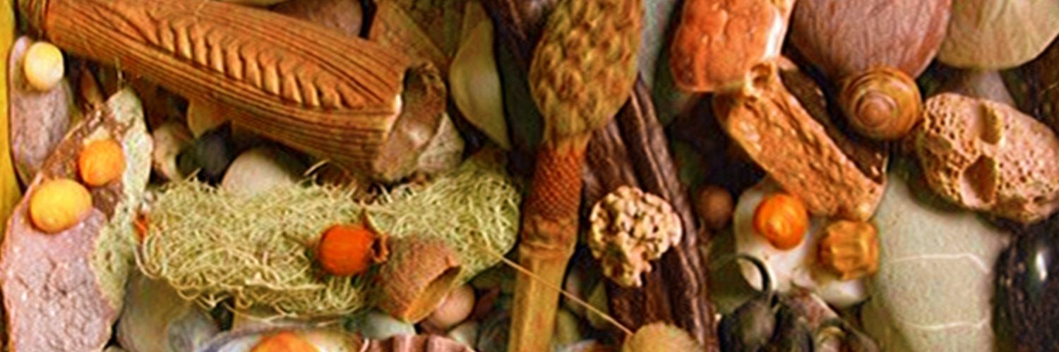 cuchita ✿ banner
