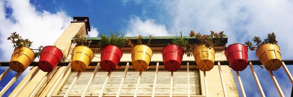 eligutes Profile Banner