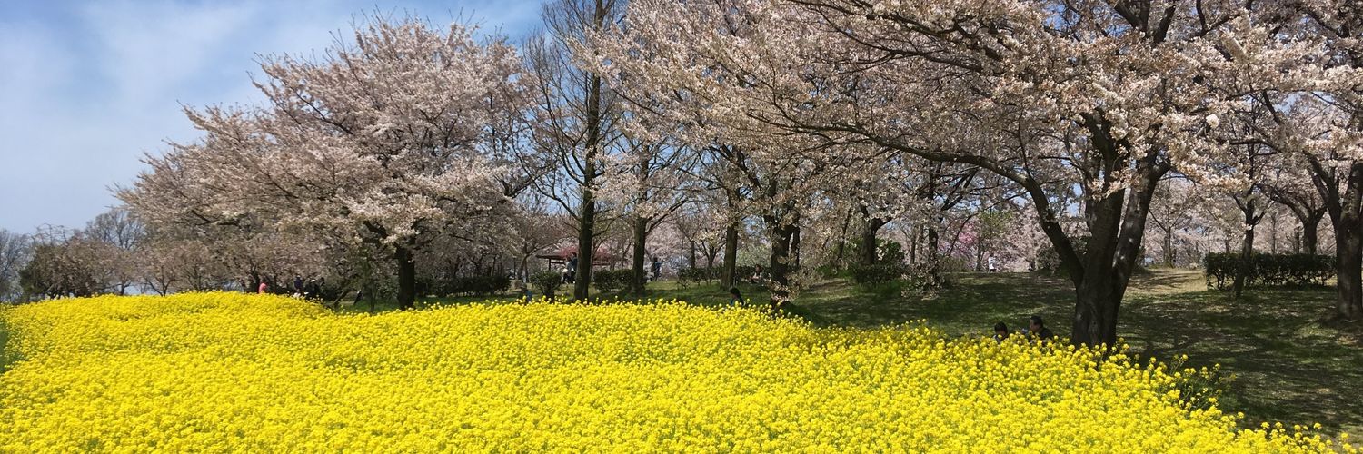 tsuyotin's profile banner image