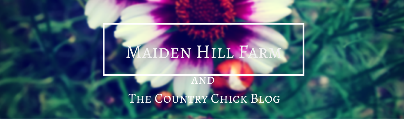 TheCountryChck's profile banner image
