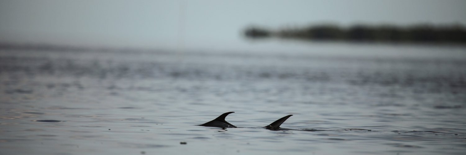 The Drake Magazine banner