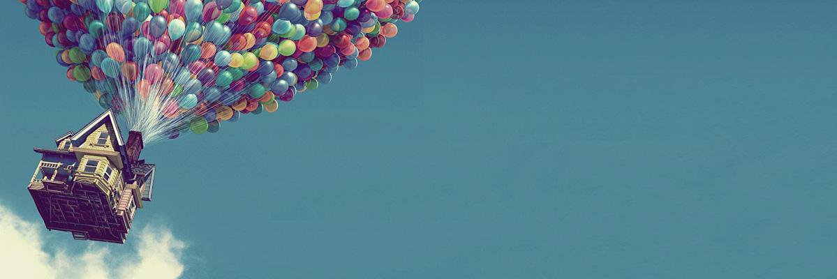 His Excellency banner