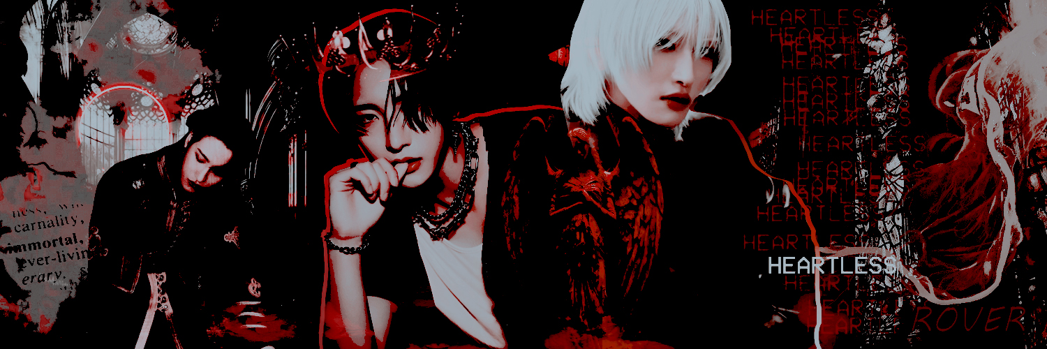 DiaboliAnima's profile banner image