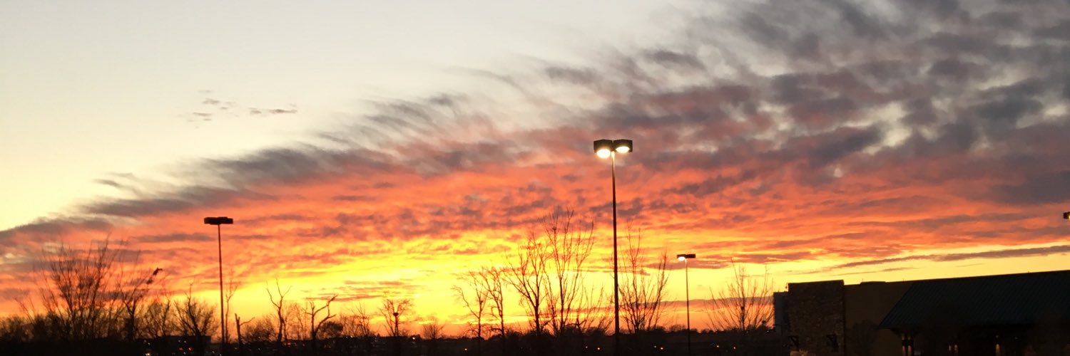SarahEBrown97's profile banner image