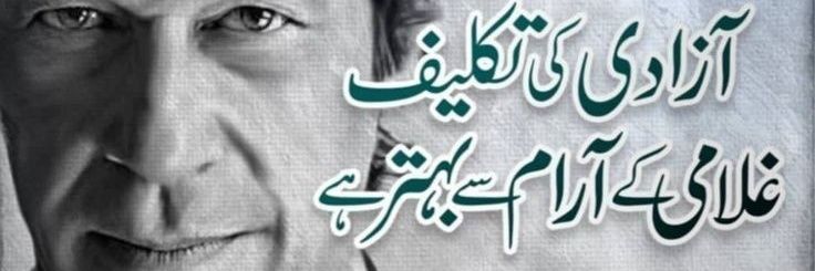 Maya Jibran's banner