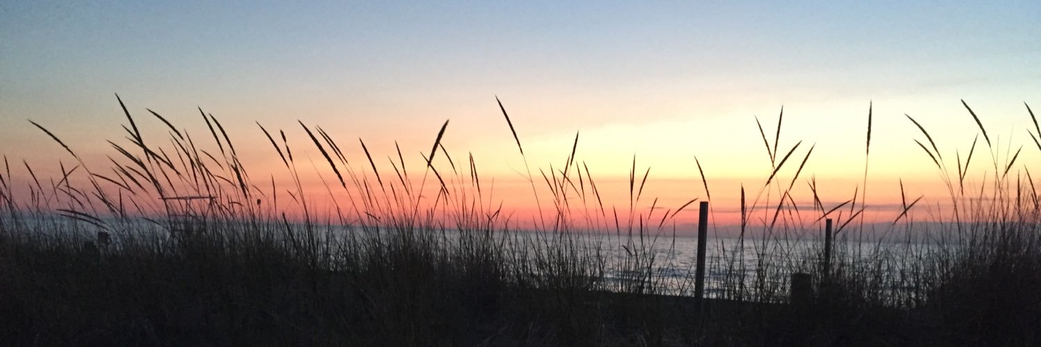 TaylorRousselle's profile banner image