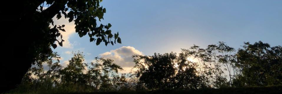 lauti844's profile banner image