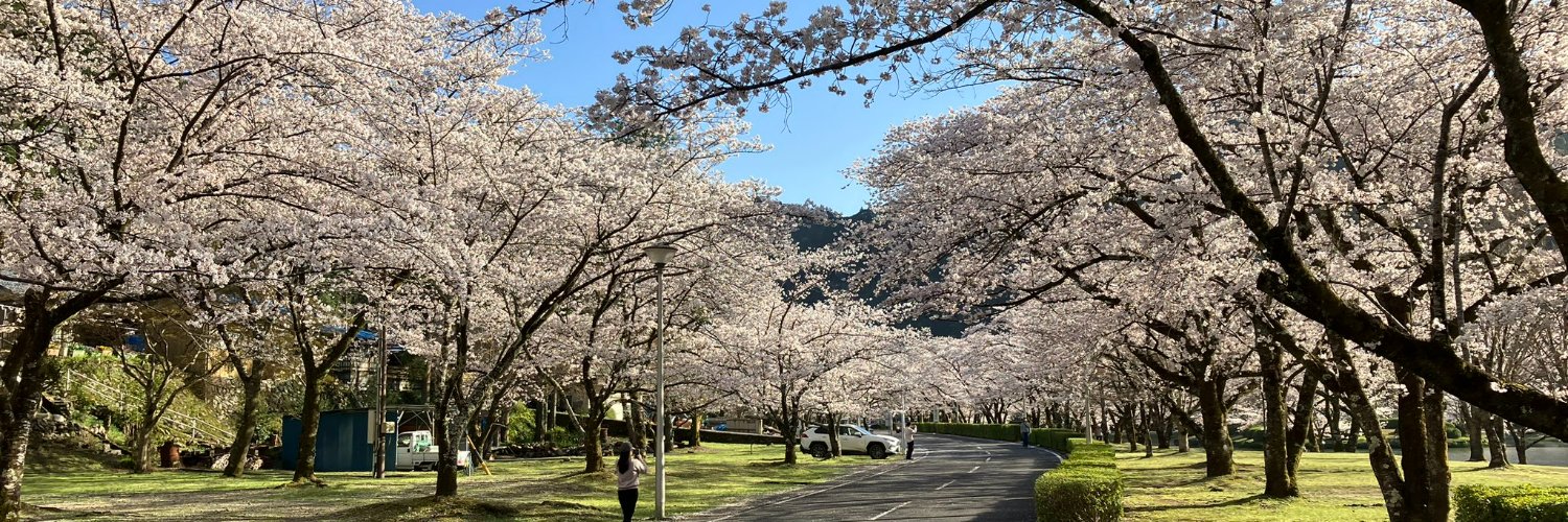 河本 大地　Daichi Kohmoto🌏 banner