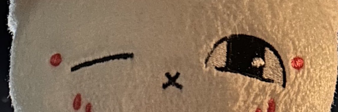 アイリスsecond banner