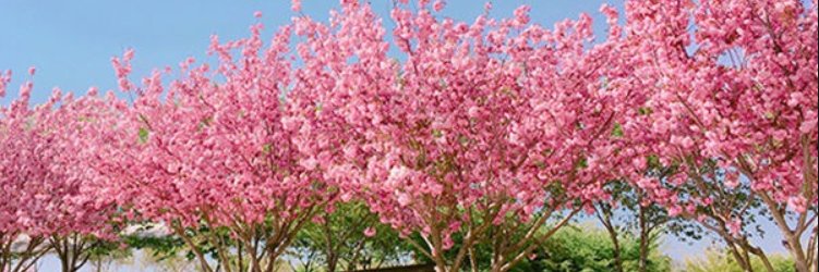 달달한꿀팁 banner