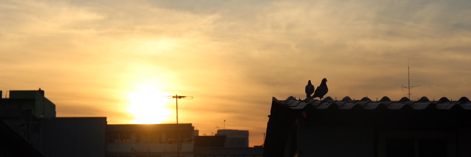 Morpeem banner