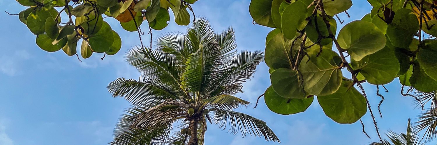 Carlos Aguilera banner