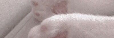 ♡JaoChim♡ ft.ผมหล่อได้ใครวะ? banner