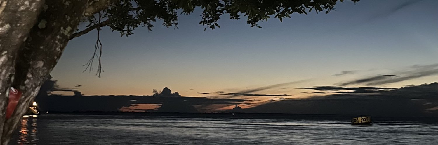 webjornalist4r's profile banner image