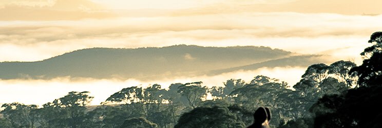 fkatyega's profile banner image