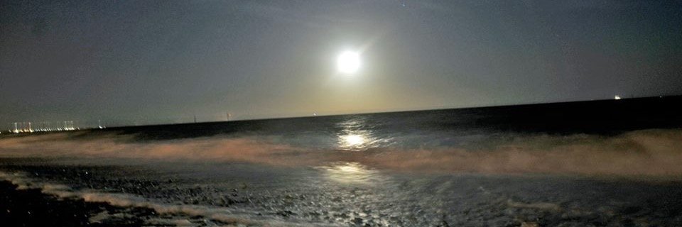 richajb's profile banner image