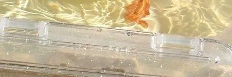 MiniAzemi's profile banner image