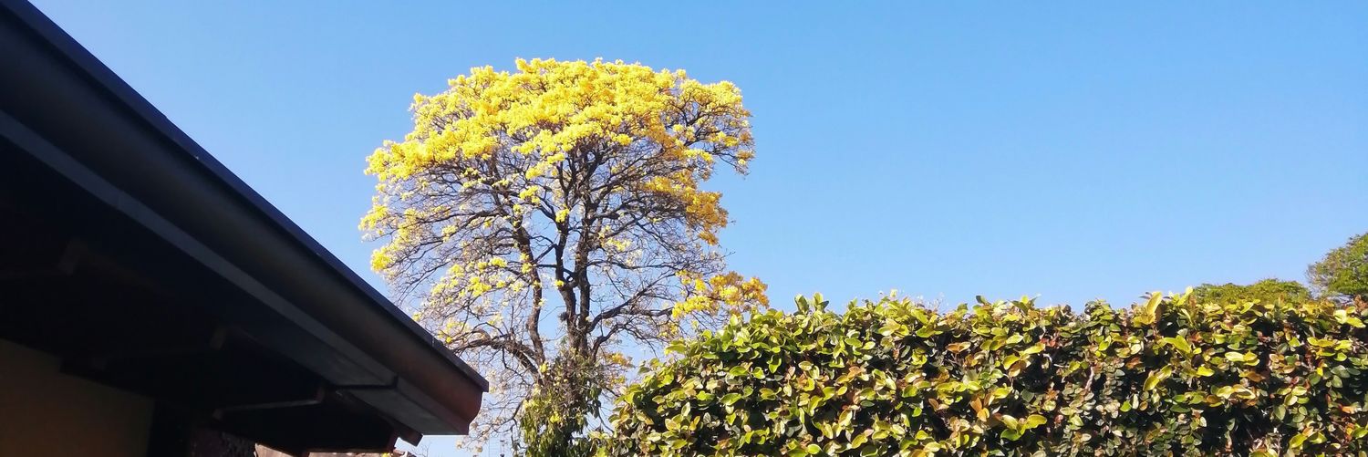 Carmenckpy's profile banner image