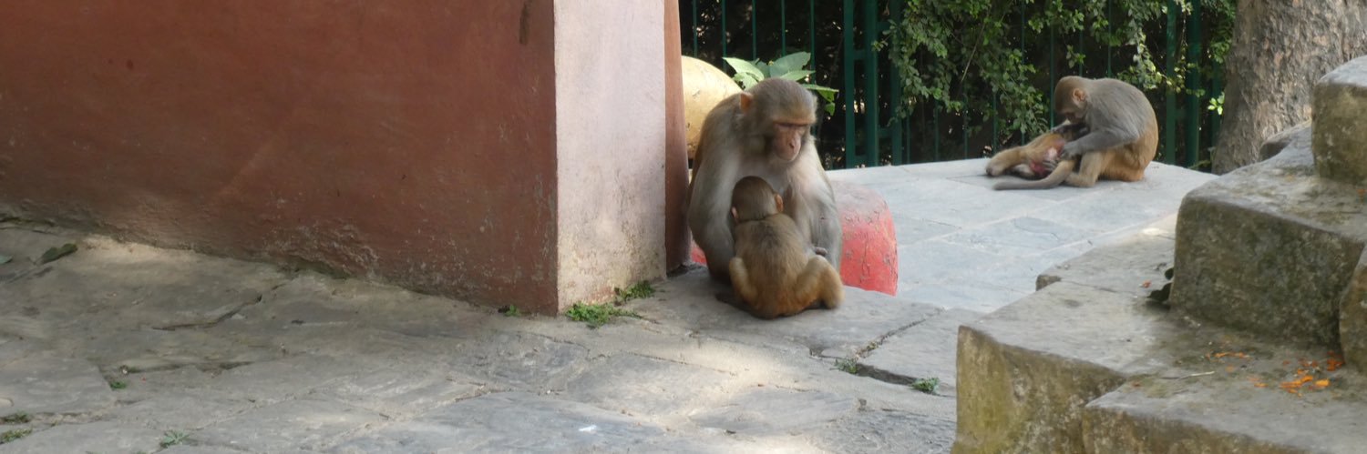 wigbert jun il 🇨🇦 🇲🇽 🇺🇦 🇬🇱 🏴󠁧󠁢󠁳󠁣󠁴󠁿 banner