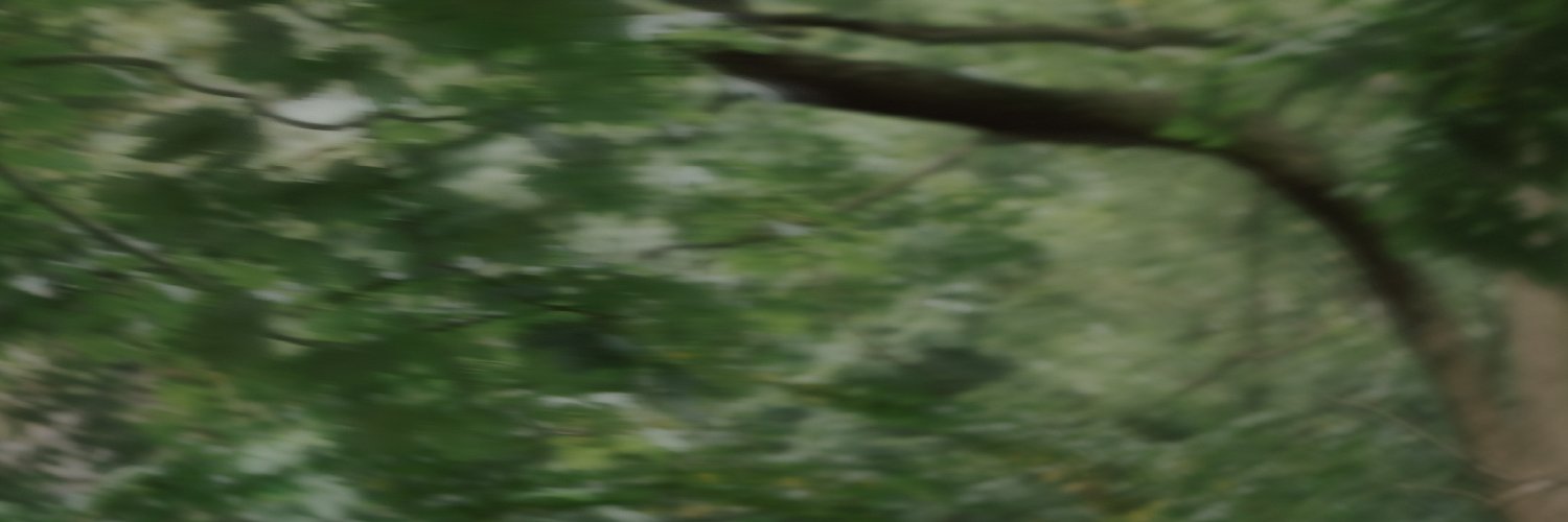 amy jay music banner