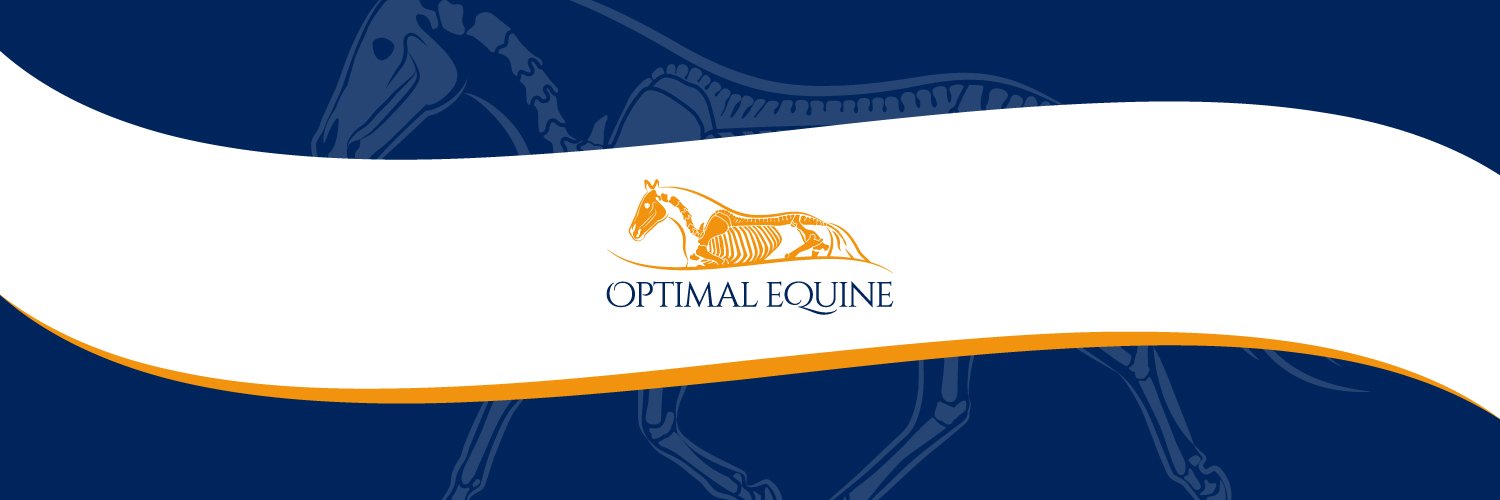 OptimalEquine's profile banner image