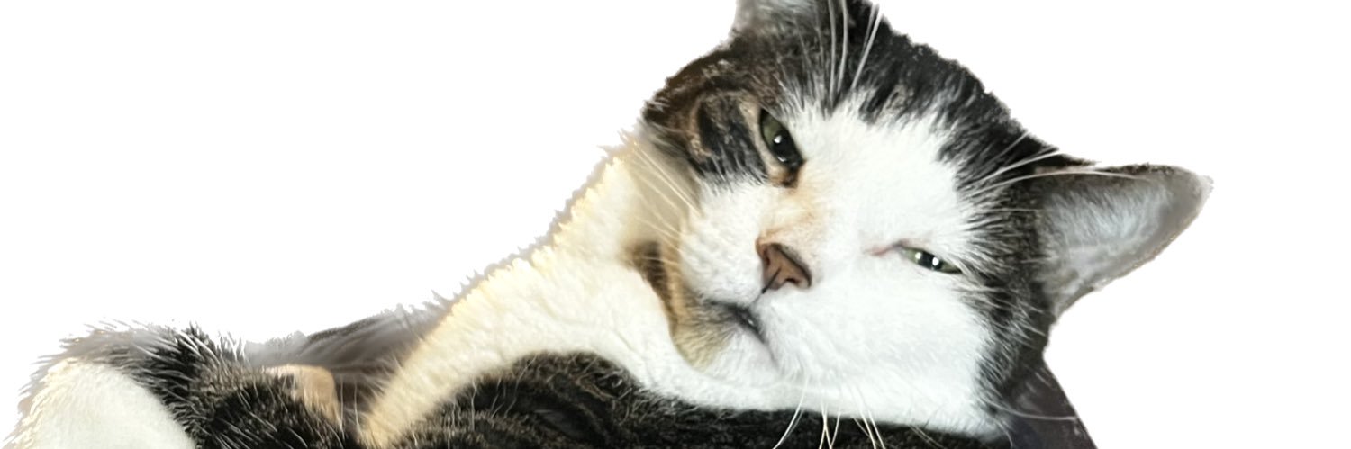 spiraltrapped's profile banner image