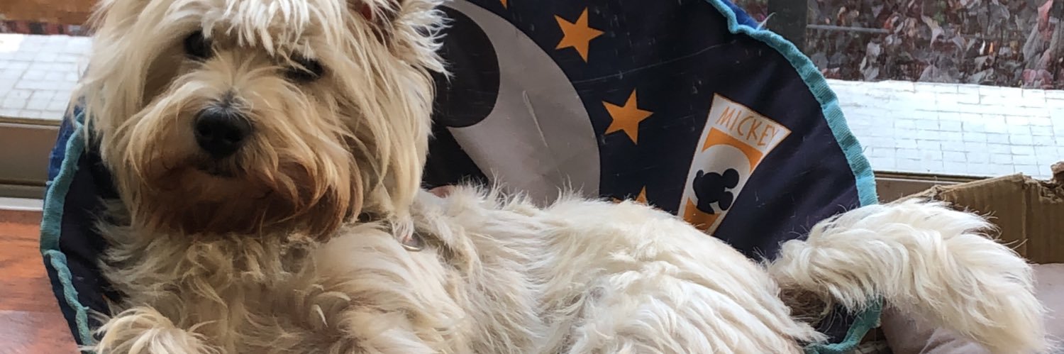 arancibiao's profile banner image