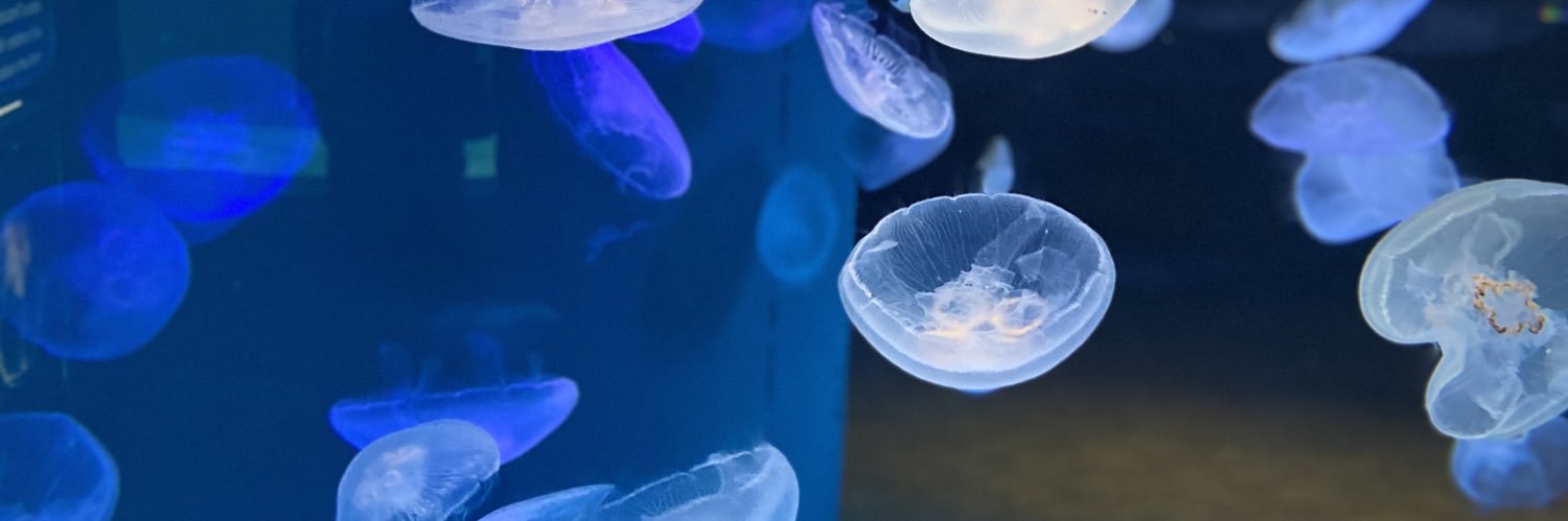 RYUSEI/流聖 banner