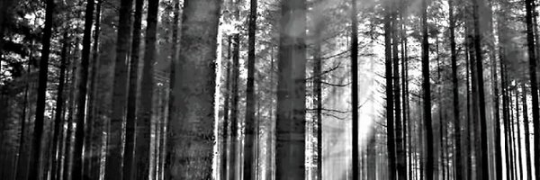 escaperooms Profile Banner