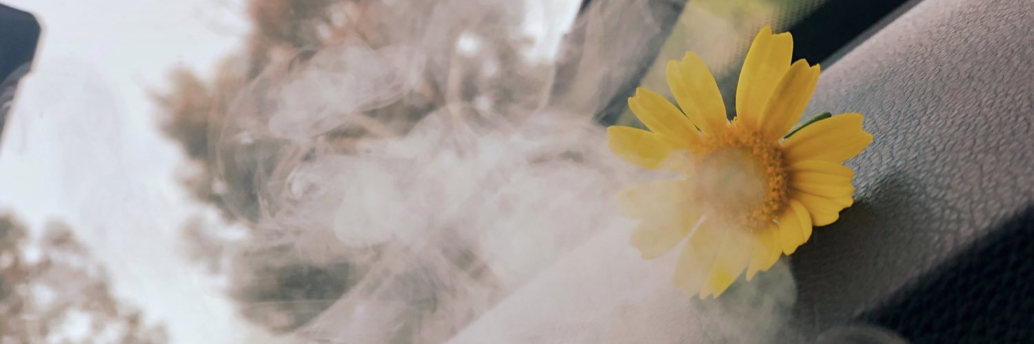 amandareyes_'s profile banner image