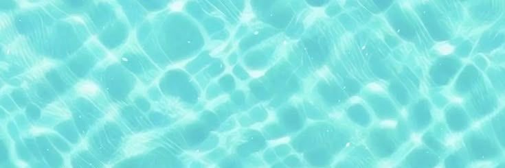 sscrunchee's profile banner image