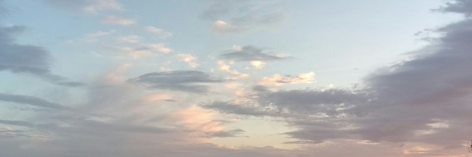 Beatriz Rubio banner