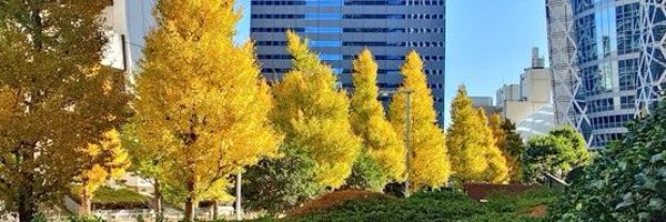 ideal_yuki Profile Banner