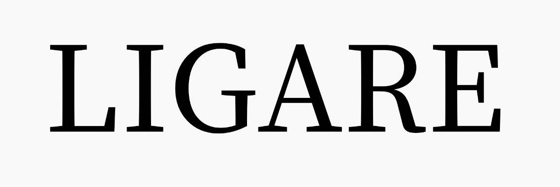 LIGARE求人プロダクション banner