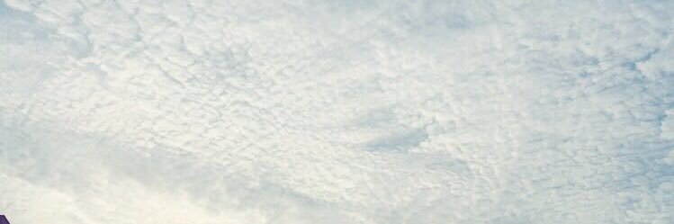 _0a0l's profile banner image