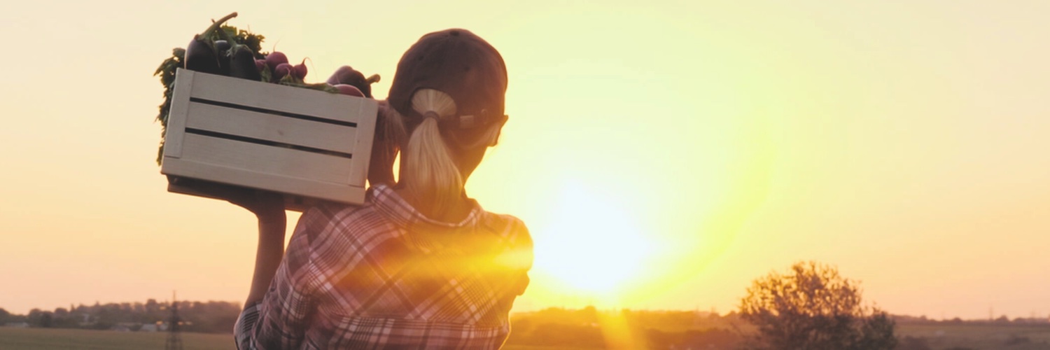 Woods Foodservice banner