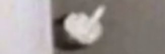 Garfield banner