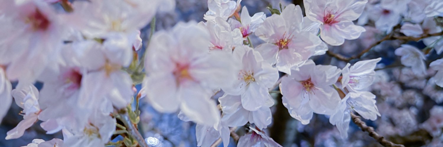 みぅ banner