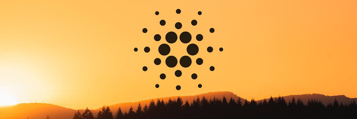 neafcb1's profile banner image