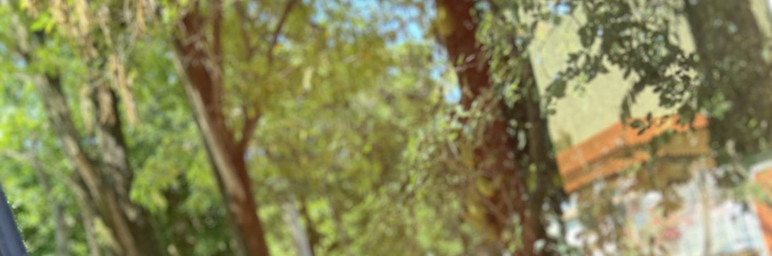 mirandaisaaa's profile banner image