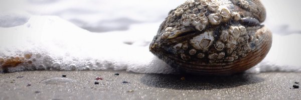 _johnewart Profile Banner