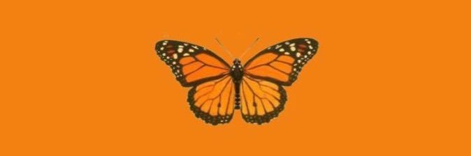taylorrdodson's profile banner image